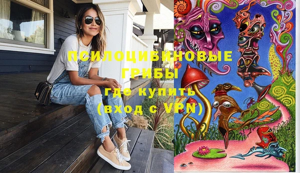 ECSTASY Кодинск