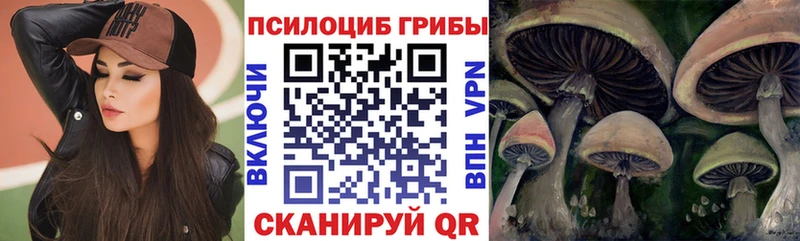 Купить  Верхоянск  Псилоцибиновые грибы GOLDEN TEACHER 